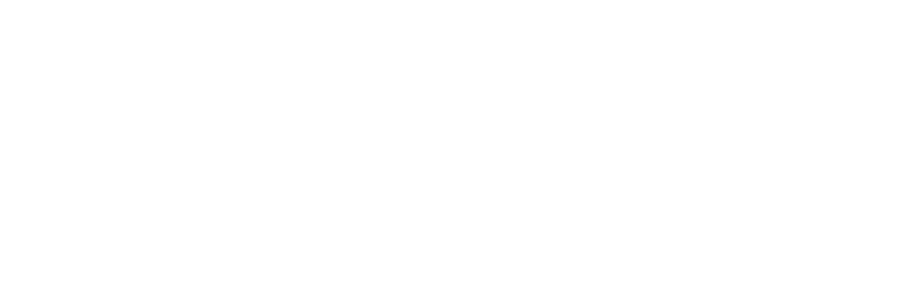 EMS logo